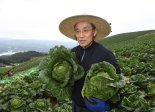 13년만에 내년 예산 총지출 줄인다