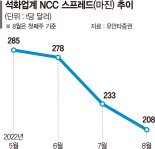 NCC 마진 리먼사태 후 최저… 석화업계 실적 먹구름