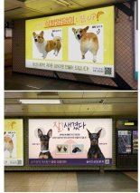 반려동물 성형외과 광고(?)..알고보니 공익캠페인