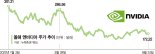 내리막 탄 엔비디아… '성장주 여왕' 캐시 우드도 돌아섰다