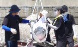 정부, 남방큰돌고래 '비봉이' 바다 적응 모습 공개