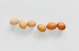 달걀에 찍힌 '암호같은 번호'...아는 사람만 신선한 계란 먹는다