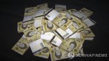 교육 예산 8억원 횡령해 '도박'…교육청 직원 실형