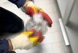 신축 아파트에 고약한 냄새가… 싱크대 열어보니 '인분'