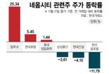 빈 살만 돈다발에…울고 웃은 네옴시티 테마株