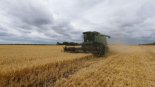 세계식량가격 9개월 연속 하락…곡물·유지류·육류 가격 내려