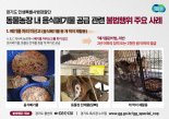 경기도, '음식폐기물을 사료로' 불법 동물농장 무더기 적발