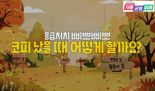 경기도교육청 개발한 유치원 안전교육 콘텐츠, 유튜브에서 만나요