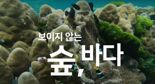 "해양파괴 주범은 빨대 아닌 버려진 그물"