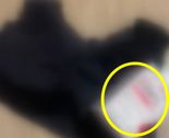 브래지어에 싸여 배송된 영양제..."혹시 성범죄자가?" 무섭고 불쾌하다