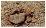 이재명 부모 산소서 발견된 돌, 흐릿했던 마지막 글자 밝혀졌다