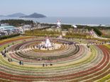 신안 대광해변서 섬 튤립 축제 열린다