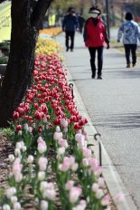 중랑천 튤립산책로 걸어요