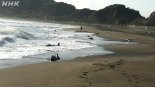 일본 '대지진 전조' 인가…해변가 떠밀려온 돌고래 떼에 불안감 고조