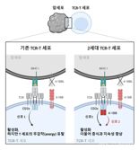 희망 없는 '말기암', 면역 치료제 국내 연구진이 개발했다