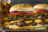 "다이어트? 햄버거 마음껏 먹어"..식단 조절 안 하는 '비만 치료제' 개발된다