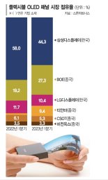 이대로면 플렉시블 OLED 1위도 中에 내준다