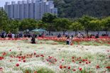 태화강 국가정원 봄꽃 축제..해병대 의장대 특별공연