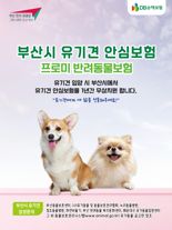 DB손보, 부산시와 손 잡고 유기동물 입양가족에 펫보험 지원