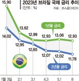 "이자에 환차익 4개월 수익률 20%"… 브라질 국채 삼바춤