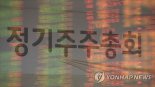 내년 '전자주총' 전면 도입...당일 전자투표 시대 열린다