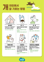 경기도, 31개 시군 1990마리 실외사육견 중성화 수술 시행