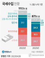 "여기도 펑, 저기도 펑"..세수 구멍 막다보니 하반기도 적신호