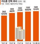 불어나는 카드론·리볼빙 잔액... 카드사 ‘건전성 관리' 발등의 불 [은행·카드 연체율 비상]