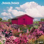 페디(Padi), '역대급 지원사격' 함께한 더블 싱글 ‘Answer Answer’ 발매