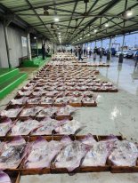 군산 앞바다 홍어 어획량 7월부터 제한