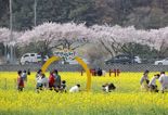 강원도 4월 관광소비 규모 전년대비 6.3% 증가...봄꽃 축제 영향