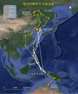 벙어리뻐꾸기·재두루미 '위치추적기'로 이동정보 새로 확인