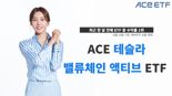 몸집 불리는 테슬라 ETF···한달 전 투자했다면 30%↑