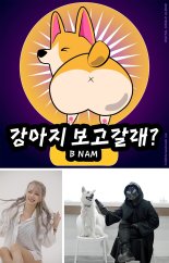 비남(BNAM) ‘라면먹고갈래?’ 2탄 선보인다! ‘강아지 보고갈래?’ 오늘 (21일) 발매