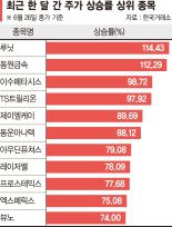 한달간 114% ‘쑥’… 의료AI株 상승세 심상찮네