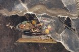 2000년 전 피자 발견? 폼페이 유적에서 유사 벽화 발굴