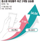 중소형 화장품株 화장발 잘 받네… 토니모리·코스맥스 신고가