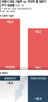 ‘AI 붐’ 기술주 집중 매입… 美증시 투자자들 배당주 외면했다