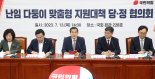 '다둥이' 태아당 100만원 지원·배우자 휴가 확대..난임 시술비 지원 소득기준 폐지