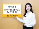 KB 美성장주펀드, 북미주식형 중 1년 수익률 1위