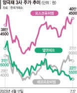 양극재株 질주서 나홀로 소외… 엘앤에프 수직계열화 시급 [e종목은 왜]