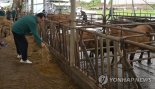 배합사료 업계 가격 인하 협의...한 숨 돌린 축산농가