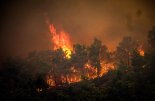 그리스 폭염, 사상최장 기록할 듯...로도스섬엔 대형 산불