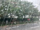 '35도 폭염 뒤 폭우'..서울에 천둥 및 호우