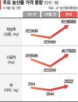 "쌈 없는 삼겹살 먹을 판"… 집중호우에 채소값 2배 치솟아 [7월 소비자물가 2.3% 상승]