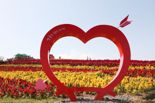 신안군, '섬 꽃 축제 여행상품' 온라인 판매