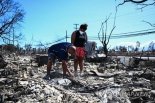 "불탄 집·땅 삽니다"..시신 수습도 안됐는데 "역겹다" 하와이 주민들 분노