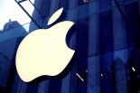 스마트폰 1,2위 지킨 애플·삼성...중국 업체 약진에 점유율 하락
