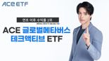 “메타버스 핵심은 ‘기술’”···집중 편입한 ETF, 올해만 53%↑