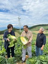 박수진 농식품부 실장 고랭지 배추 생육 점검